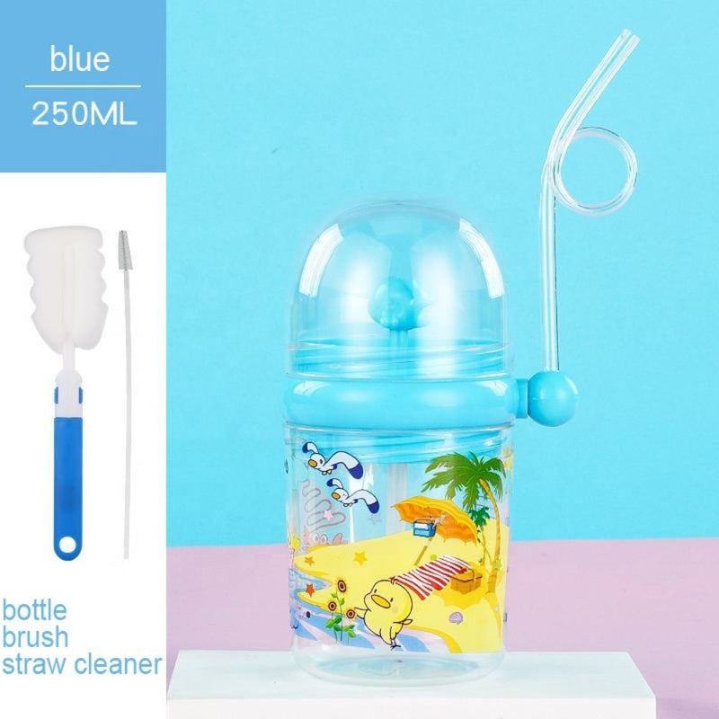 Fancy Water Bottle Cup with Straw