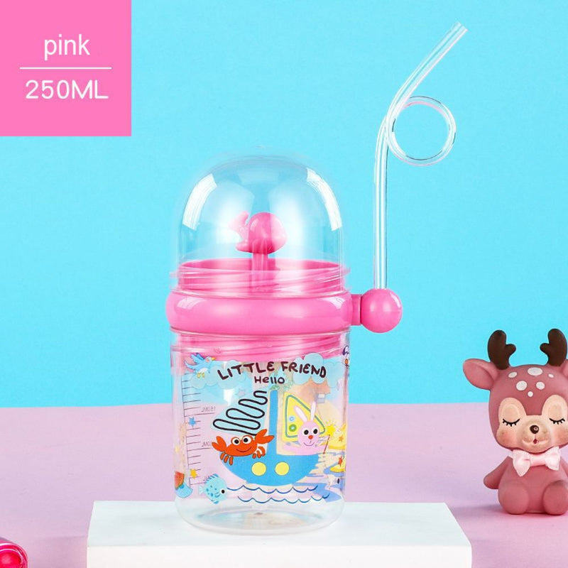 Fancy Water Bottle Cup with Straw